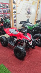 Zongshen CG 125 ATV QUAD BIKE 2024 for Sale