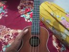 Ukelele (Deviser)