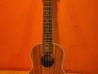 Ukelele dviser 26"