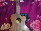 Ukelele for sale