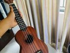 Ukelele guiter