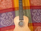 Ukelele up For Sale