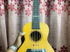 Guiter for sell