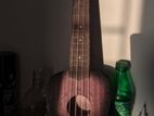 Ukulele 21 Inches