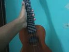 Ukulele 24"