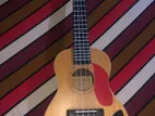 Ukulele 24”