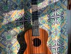 UKULELE " 24" INCH CONCERT FOR SELL