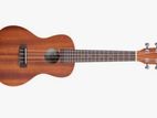 Ukulele বিক্রি হবে – সুরের জাদু হাতে পান