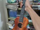 Ukulele বিক্রয়