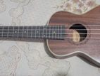 Ukulele (concert Size) for sell