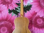 Ukulele Deviser