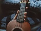 Ukulele guitar