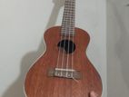 ukulele