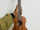 Ukulele sell