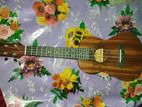 Ukulele guitar