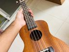 ukulele guiter