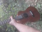 Ukulele