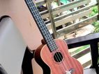 Ukulele Guiter