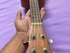 Ukulele