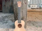 Ukulele Guitar sale