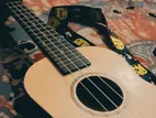 ukulele guitar