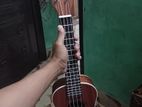 Ukulele for sell