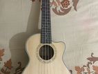 Ukulele for sale