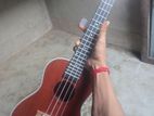 Ukulele for sale
