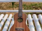 Ukulele for sale