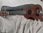 Ukulele For Sale