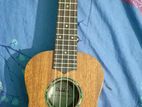 Ukulele