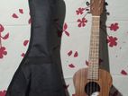 Ukulele guiter