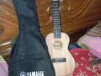 Ukulele for sale