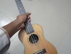 Ukulele For Sell