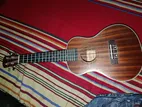 Ukulele Guiter for sell
