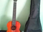 Ukulele Guitar