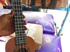 Ukulele Kasper