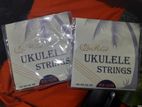 Ukulele String New