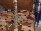 Ukulele / উকুলেলে