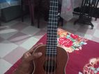 Ukulele(deviser)