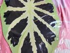 Unique green leaf cutting doormats carpet