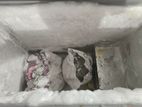 Urgent Deep Freezer Sale
