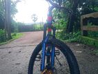Cycle for sale