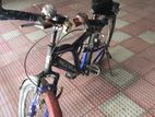 Phoenix Bicycle For Sale