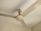 56" Fan for sale