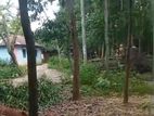 ৬০ শতক জায়গা বিক্রি করা হবে