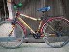 Phoenix Bicycle for sale