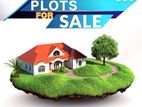 Urgent Sale Of 3 Katha Plots In Bashundhara N Block