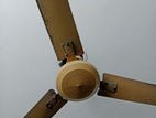 fan sell