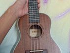 urgent sell ukulele